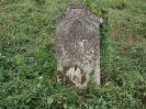 Der alte Friedhof - links_16