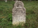 Der alte Friedhof - links_21