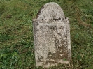 Der alte Friedhof - links_24