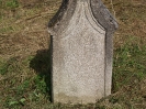 Der alte Friedhof - links_36