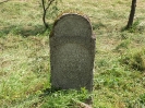 Der alte Friedhof - mitte_16