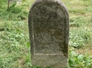 Der alte Friedhof - mitte_28