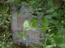 Der alte Friedhof - rechts_21