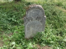 Der alte Friedhof - mitte_15