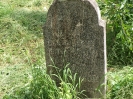 Der alte Friedhof - mitte_19
