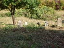 Sanierung des Friedhofs